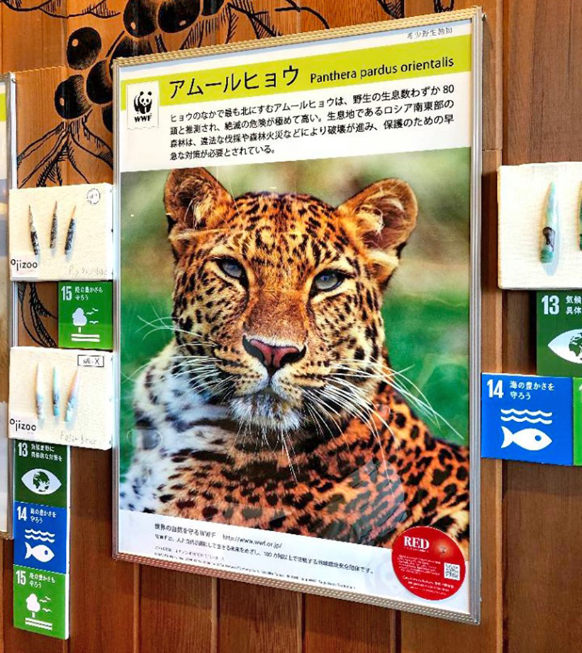 Red いま 消えゆく動物たち 株式会社大通 Red いま 消えゆく動物たち 株式会社大通
