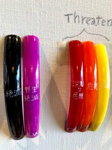 Red いま 消えゆく動物たち 株式会社大通 Red いま 消えゆく動物たち 株式会社大通