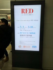 Red いま 消えゆく動物たち 株式会社大通